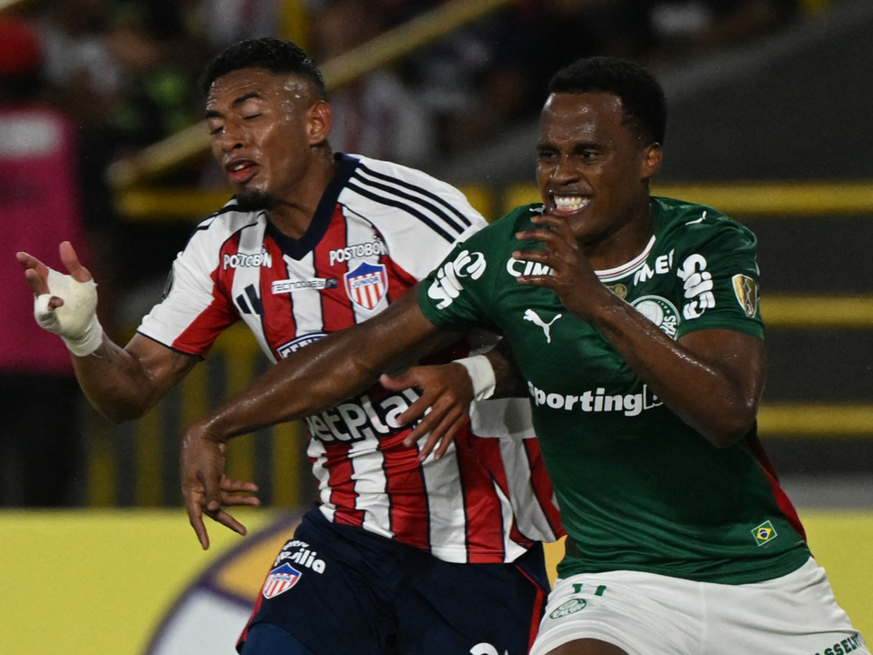 ¡VERDAO VS TIBURONES!