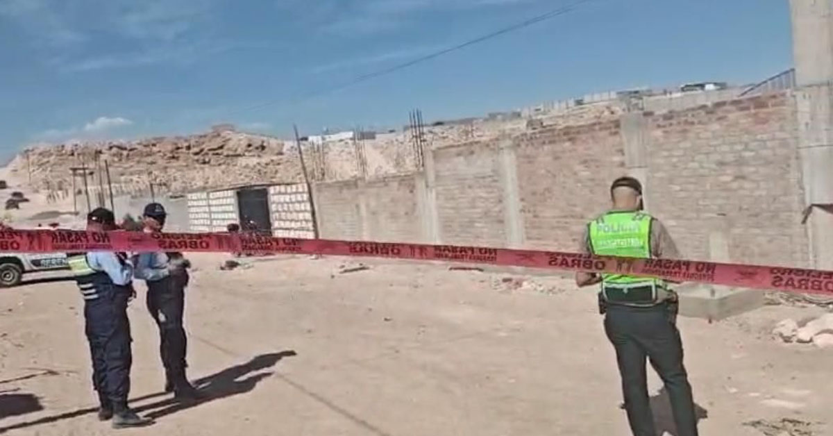 Terror en Arequipa: Anciana de 72 años pierde la vida tras ser atacada por jauría de perros en Cerro Colorado
