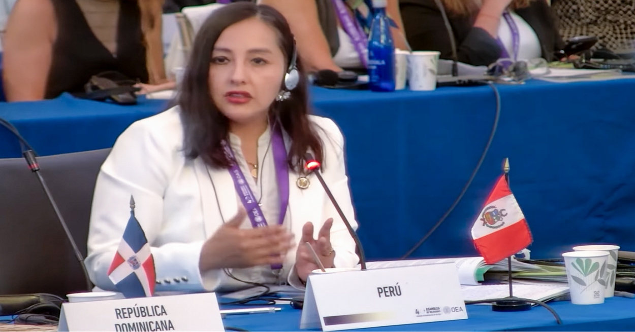 Ministra Pariona propone en la OEA inclusión de mujeres rurales, emprendedoras y jefas de hogar en el sistema financiero