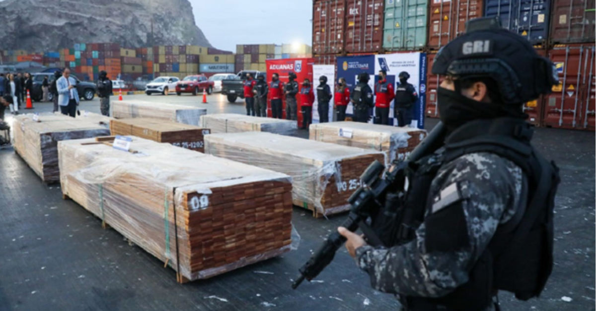 ¡De película! Incautan 100 TONELADAS de droga que iba ser enviada a Europa escondida en madera