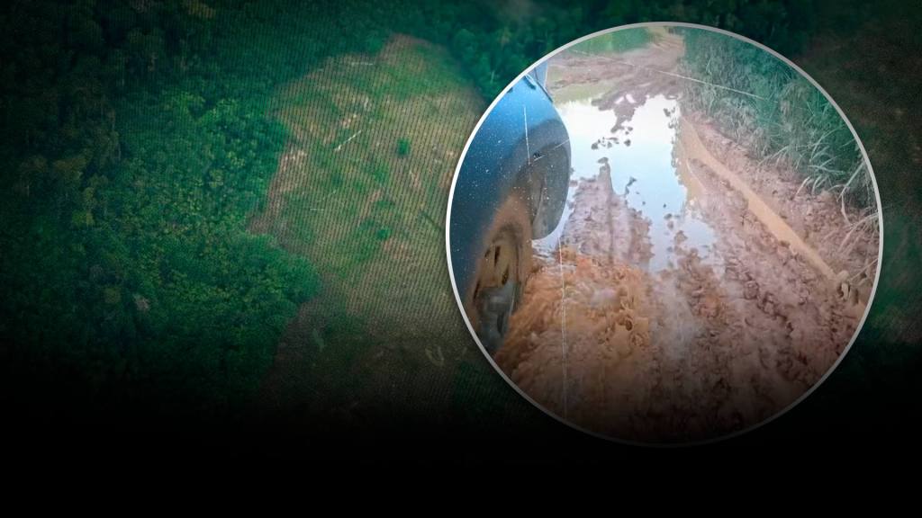 El Estado legaliza rutas del narcotr&aacute;fico en la selva