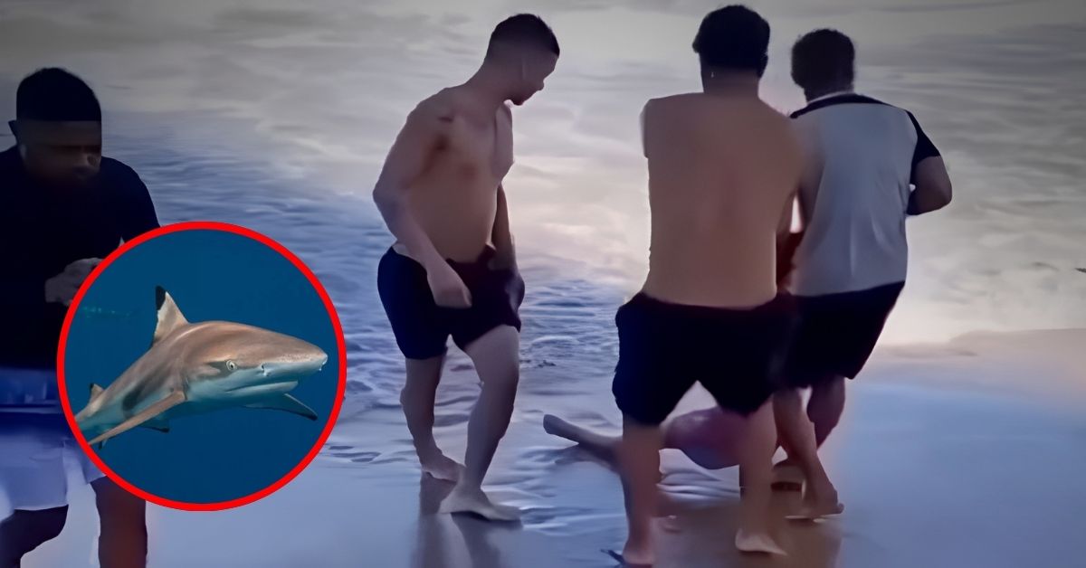DOS ATAQUES de tiburón en menos de 24 HORAS dejan a un niño y una joven sin una pierna