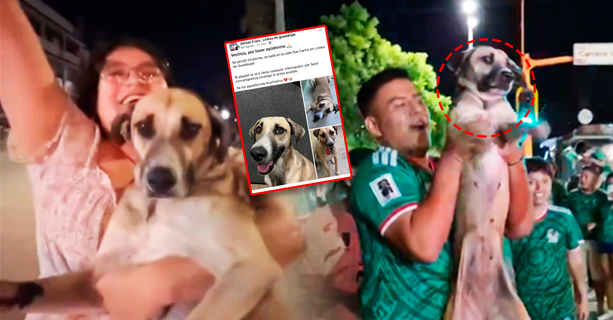 Mujer encuentra a su perra perdida durante el Mundial: Hinchas mexicanos celebraban con la mascota en directo