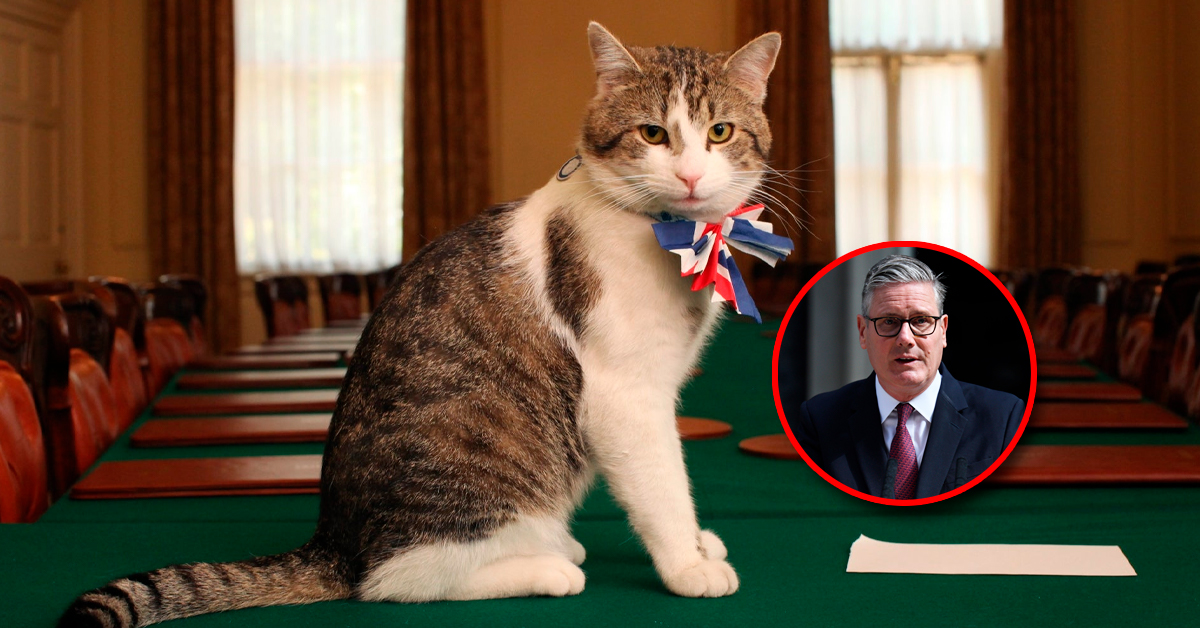 Un gato CLAVE en Reino Unido: Larry, el felino LONGEVO que ha despedido a más de un primer ministro en Downing Street
