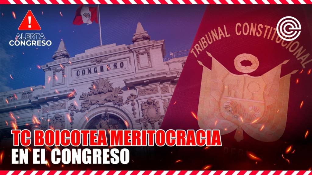 Alerta Congreso | TC boicotea meritocracia en el Congreso