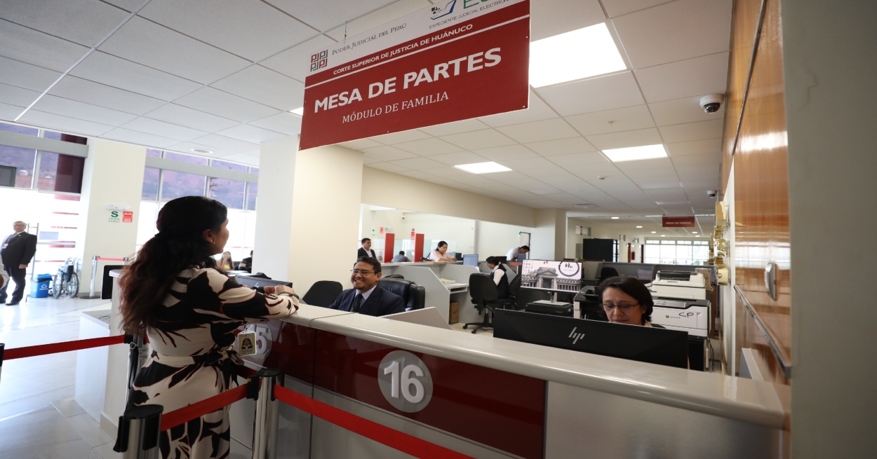 Poder Judicial tramita desde este año más de mil casos sobre tenencia y régimen de visitas con expedientes electrónico