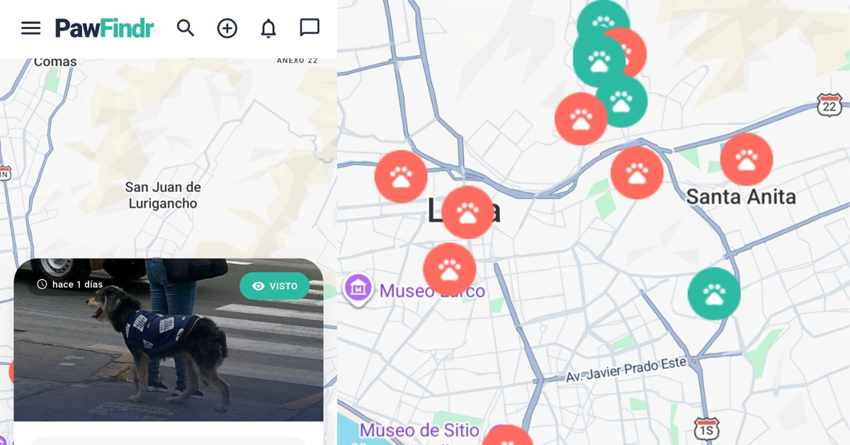 ¿Tu perro o gato se perdió? Aplicación para teléfono GRATUITA te ayuda a encontrar a tu mascota mediante alerta