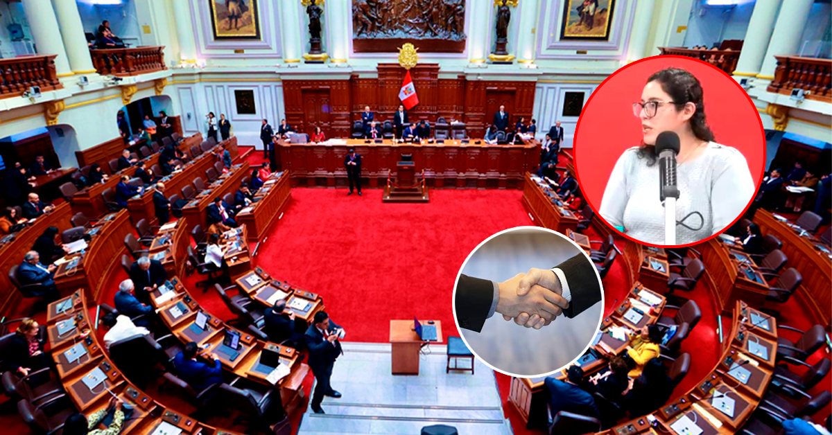 Congreso bicameral no tendrá mayoría definida y alianzas variarán por cada proyecto, según politóloga