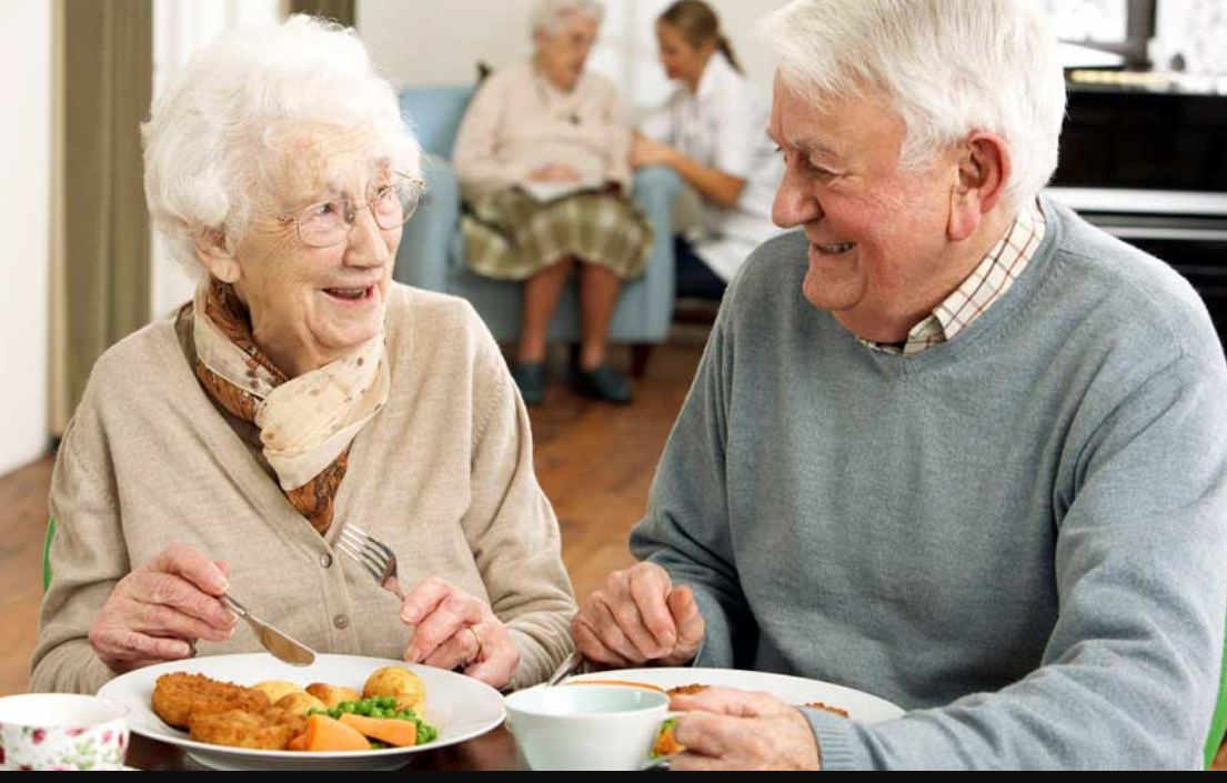Camote, el super alimento para los adultos mayores