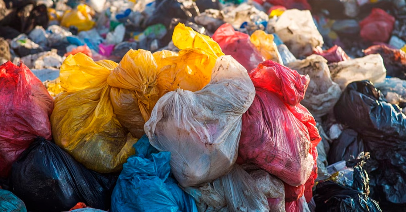 Hallan fetos en contenedores de basura: ola de casos alerta a las autoridades