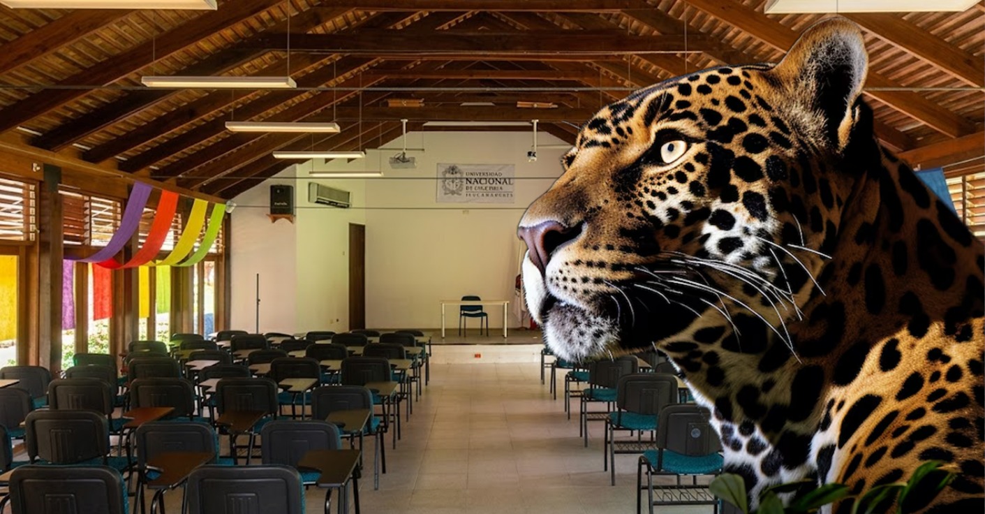Universidad suspende sus clases luego de que jaguar apareciera en sus aulas