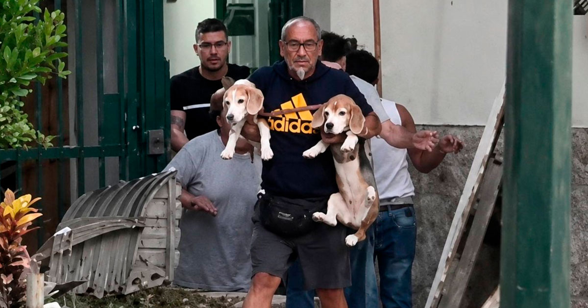 Adulto mayor conmovió al salvar a sus dos perros durante los terremotos en Venezuela: "No los abandonó"