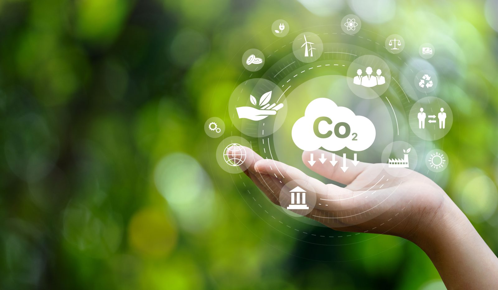 Movistar avanza en la reducción de huella de carbono y renueva reconocimiento del Ministerio del Ambiente