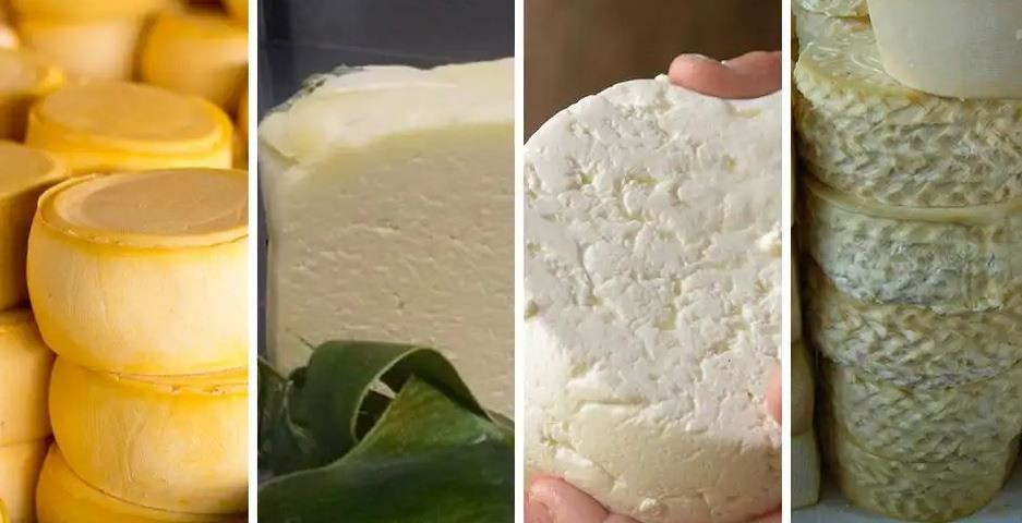 Quesos frescos más usados en cocina