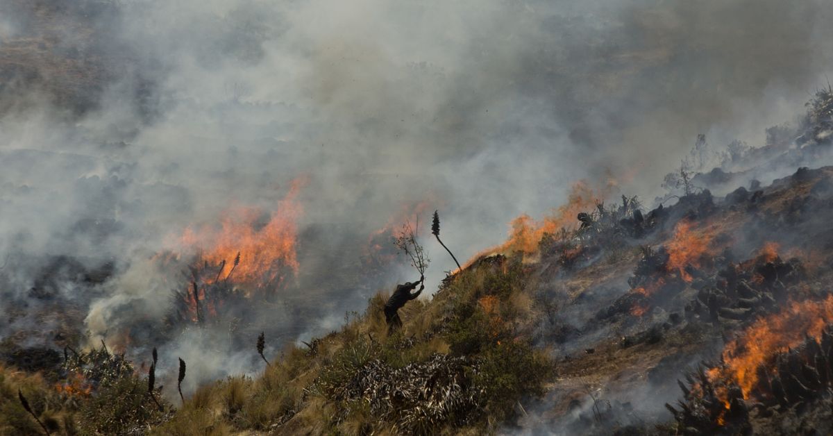 ¡Alerta roja! Emiten alerta de condiciones capaces de generar incendios forestales en la sierra del Perú