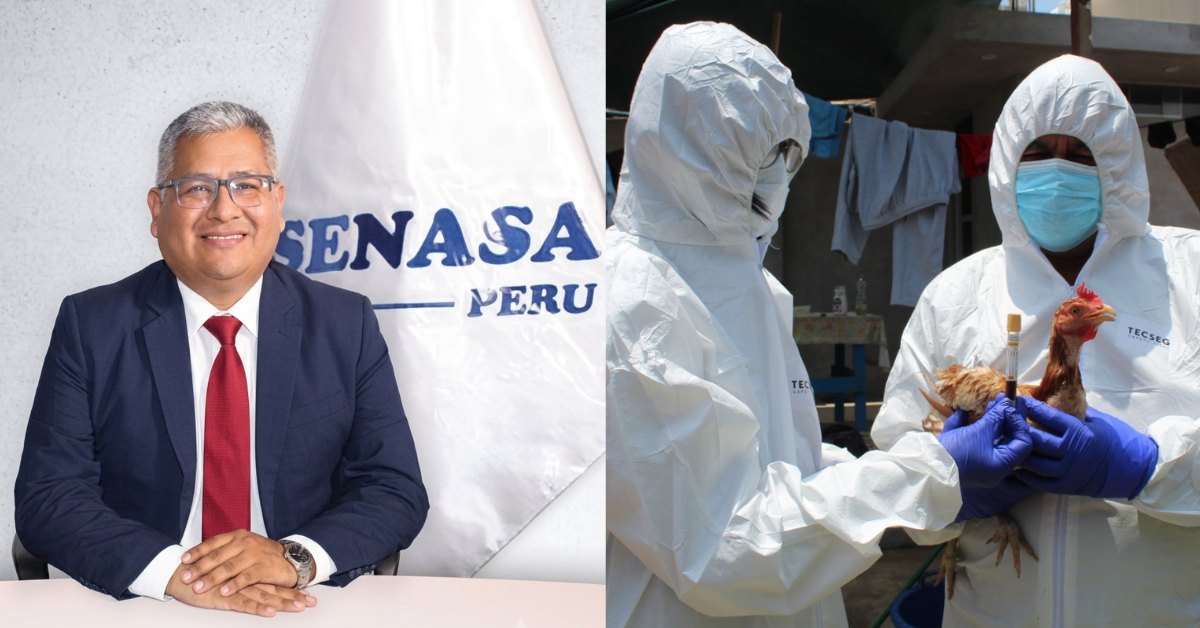 "No existe ningún riesgo al consumir carne y huevos cocidos", SENASA descarta peligros tras declarar emergencia sanitaria por influenza aviar