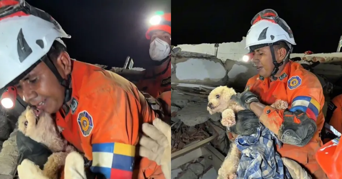 Rescatan a perrita después de varios días atrapada bajo los escombros por sismos en Venezuela