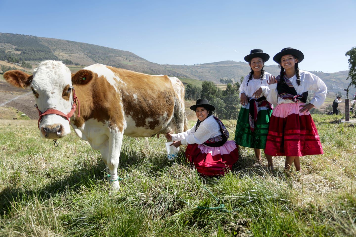 El agro peruano se consolida: producción crece en mayo impulsada por los sectores agrícola y pecuario