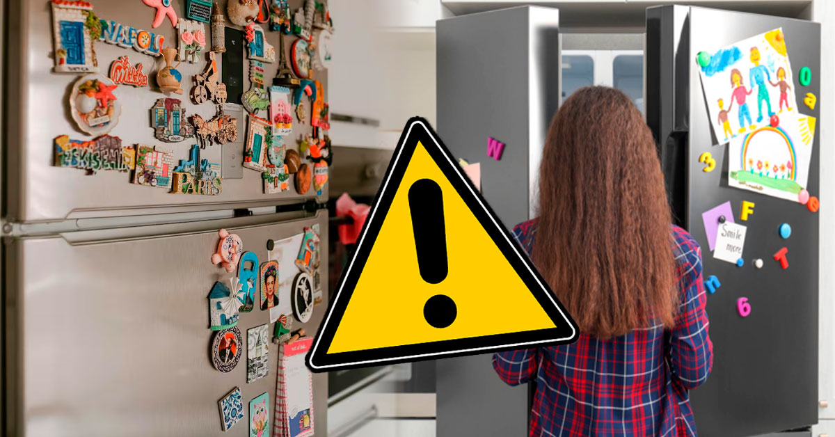 ¿Los imanes en la refrigeradora aumentan tu RECIBO de LUZ? Esto dicen los expertos