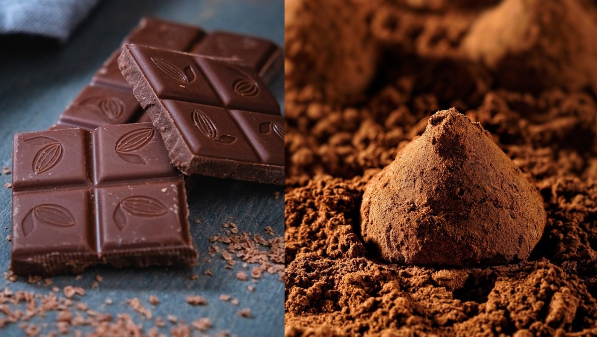 Cacao o chocolate para repostería
